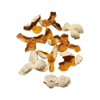 Xinhui specialty 2020 500g cantaloupe orange peel