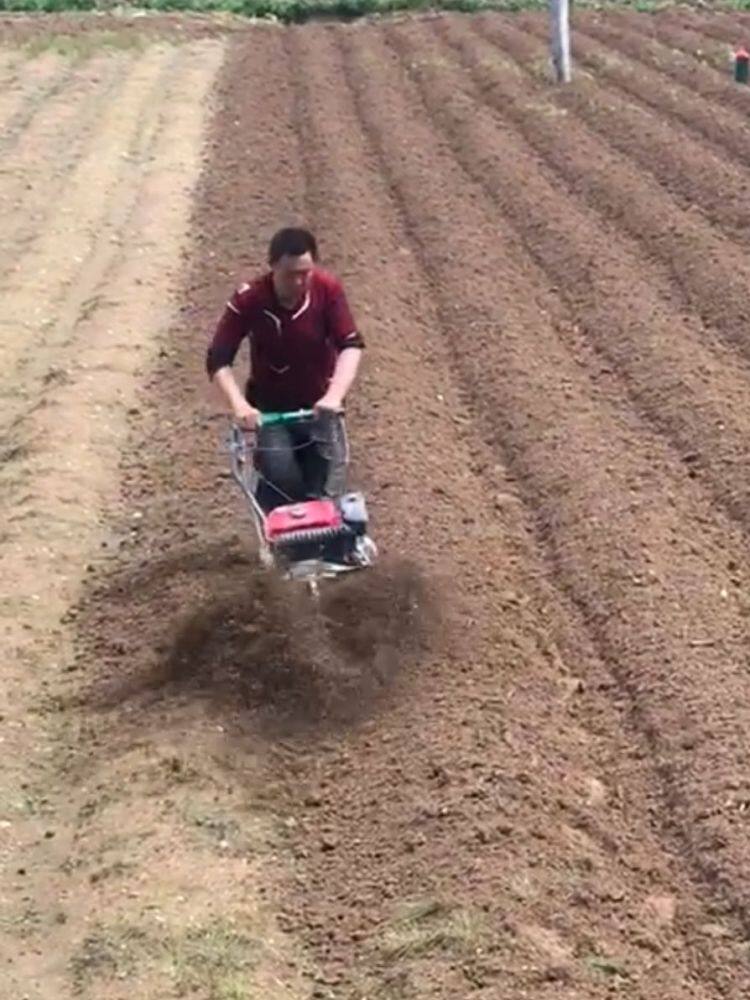 Small-scale agricultural farmers with small-scale mountain orchard tillage machine rotary weeding loose soil tilling fields trench trenching multi-functional gasoline engine