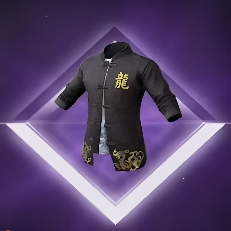 Peace Elite Dragon Clothes Master Jacket, Special Jacket for Master and Apprentice, Dragon Jacket for Purchase