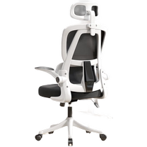 Guiqi computer chair e-sports chair home office chair bedroom backrest comfortable seat desk chair student study sedentary