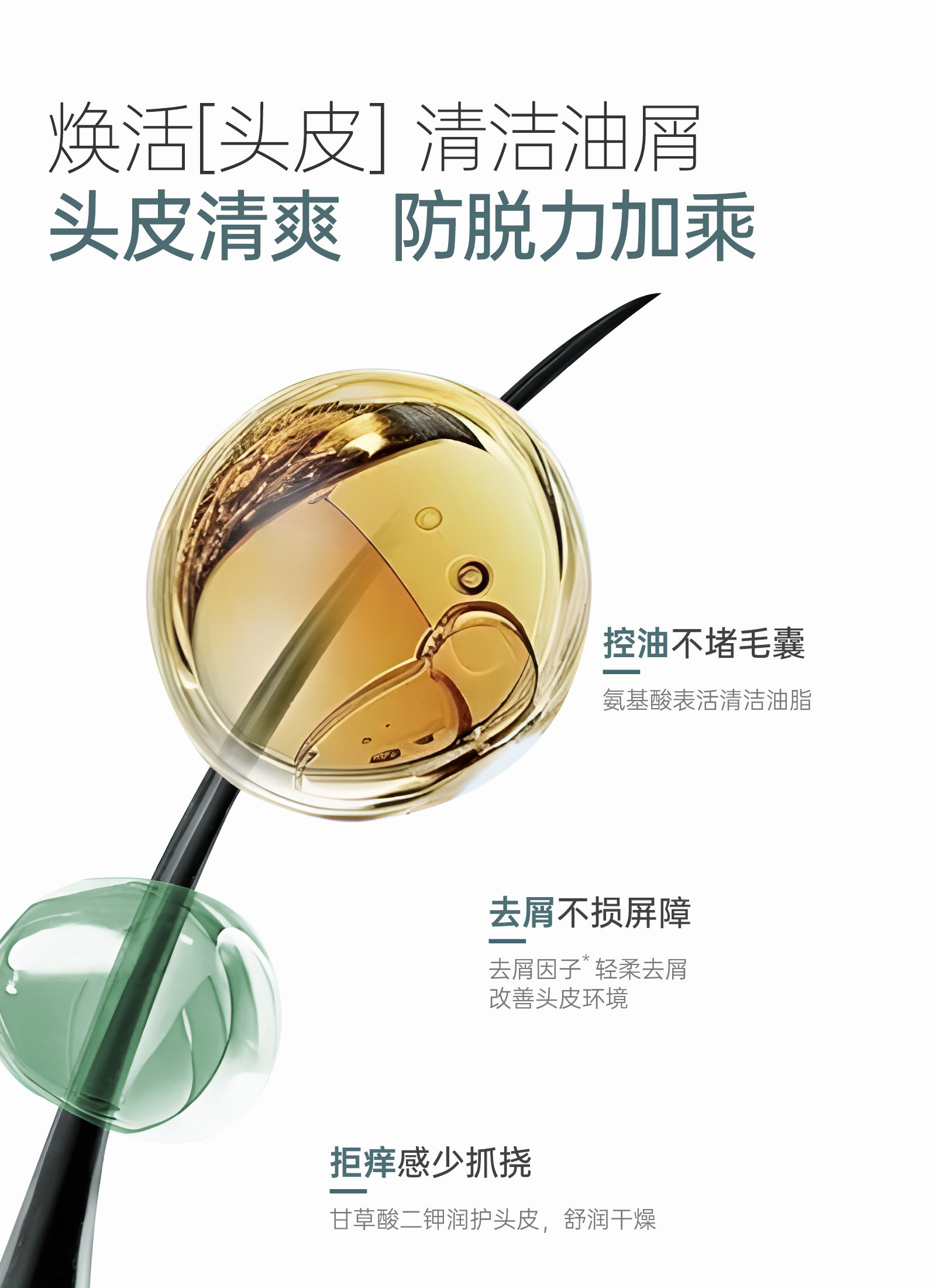 袋鼠妈妈防脱洗发水控油去屑专用生姜养发固发洗发露正品旗舰店 — 9