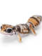 Official Bandai Biological Encyclopedia Reptile Gecko Lizard Premium Edition Capsule Toy Realistic Movable Lizard