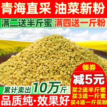 Pollen de colza frais Qinghai pur naturel comestible pollen dabeille mâle avant 500g pollen ininterrompu