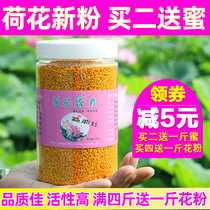 Pollen dabeille comestible pollen de lotus naturel pollen de lotus poudre de lotus femelle produite à la ferme ininterrompue 500g