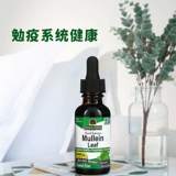 American Direct Mail's Response's Mao Rui Flower Leaf 2000 мг помогает здоровой респираторной функции 30 мл