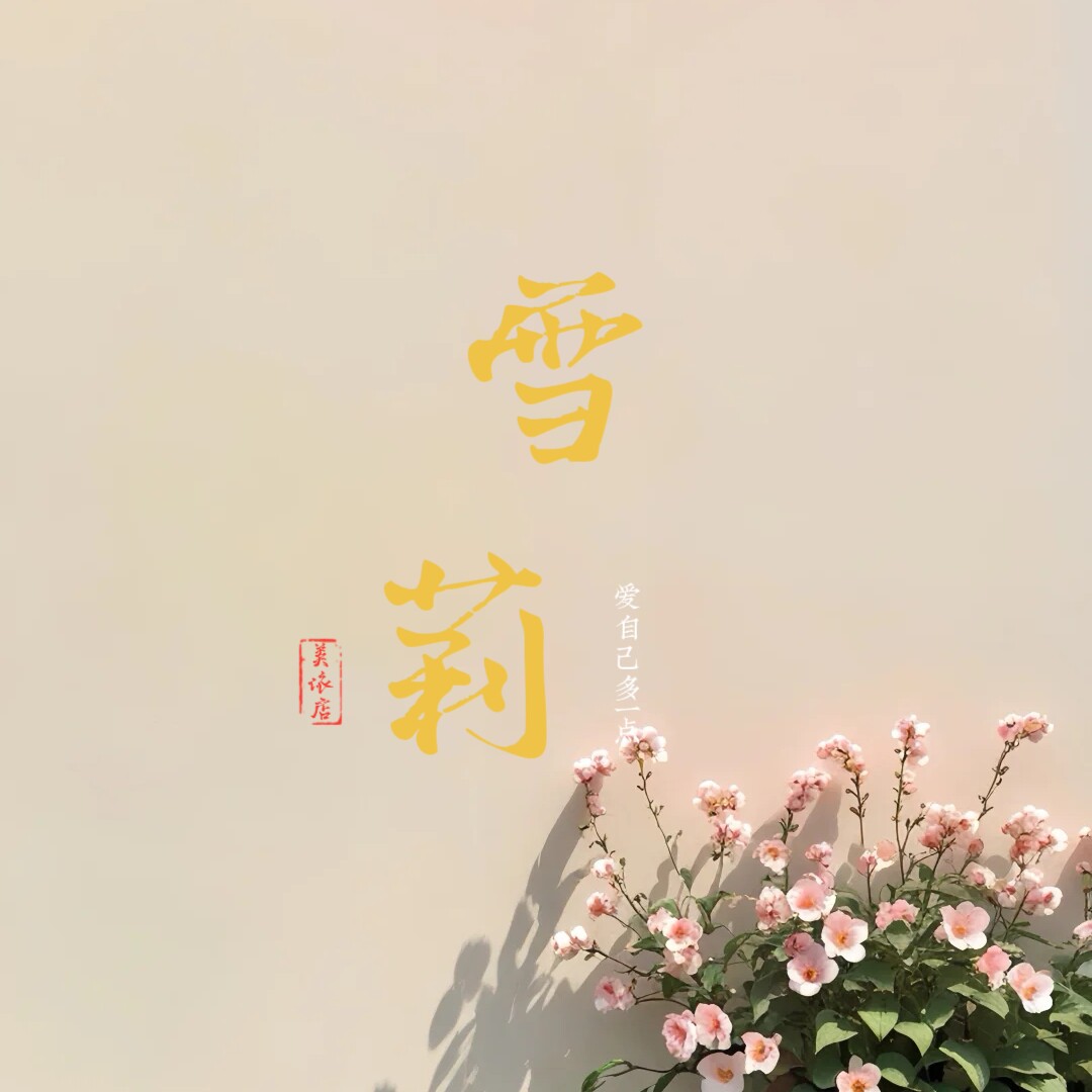 雪莉美依店