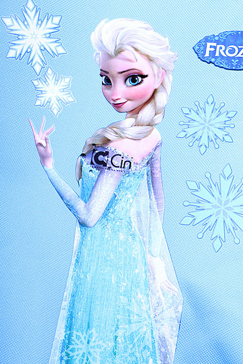 Sac de sport - Ref 16697 Image 7