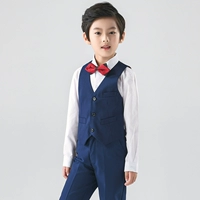 Жилет, комплект, рубашка, штаны, галстук-бабочка, 4 предмета