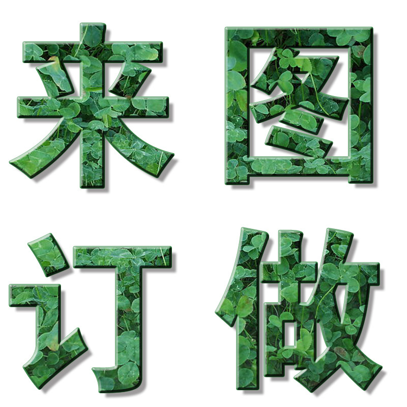 Small size women's shoes 313233 Single shoes to book for big size Private custom high heels Heightening Little White Shoes Woman