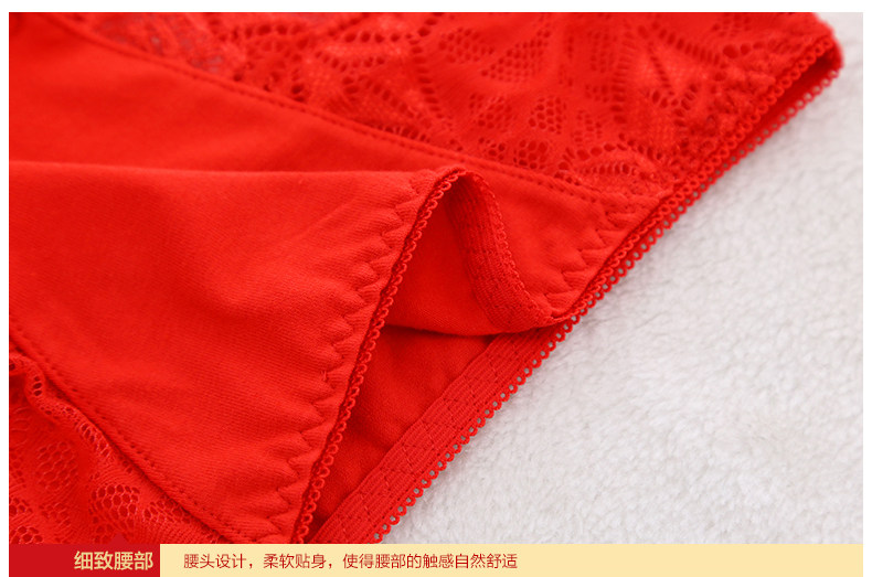 Slip jeunesse LAS025 en coton - Ref 669327 Image 20