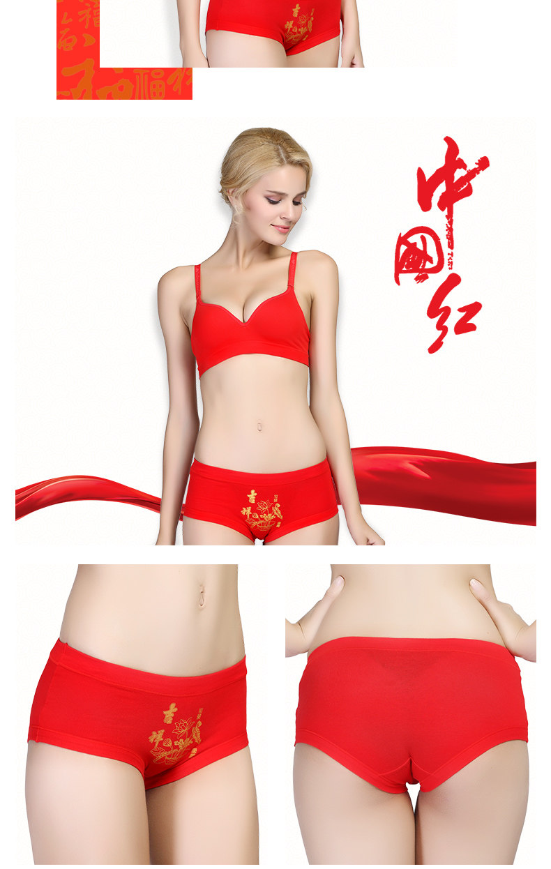 Slip jeunesse en coton - Ref 669353 Image 20