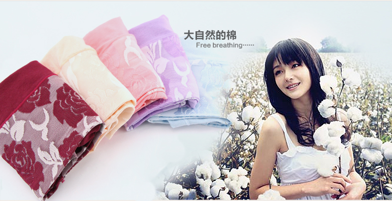 Slip NTX1566 en coton - Ref 641665 Image 36