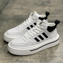 Autumn Winter New Classic Pine Pastry Bottom High Help Small White Shoes Mens Korean Version Heightening Fashion Plus Casual Sports Board Shoes