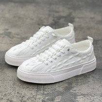 Korean version white breathable ice silk cloth shoes men 2022 Spring summer new thick bottom one foot pedal small ear casual shoes