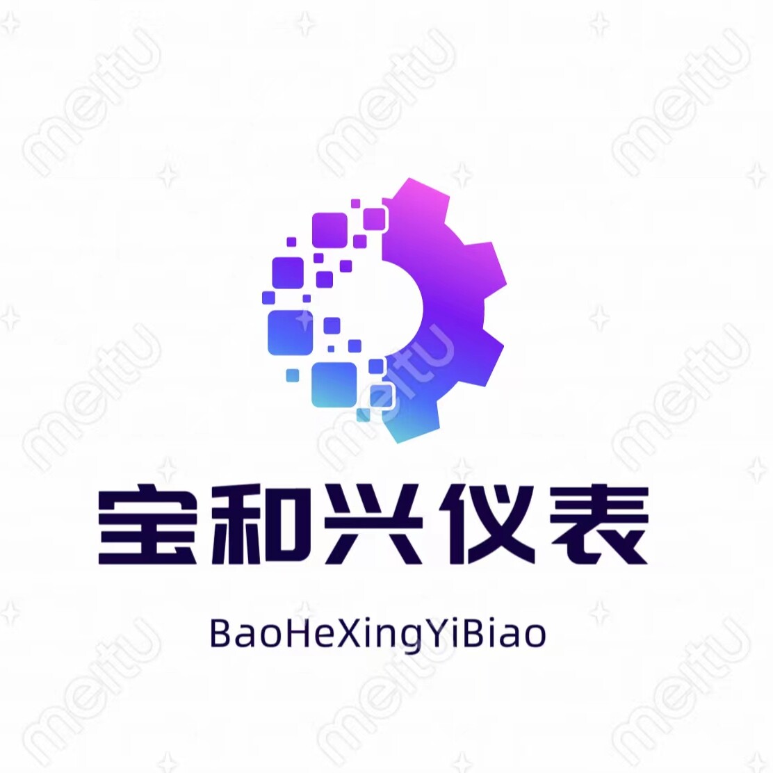 宝和兴仪表