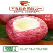 Дымовая таблица Red Foxes Apple RMB78 ящики 10 соток