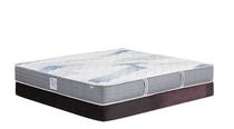 Sealy mattress