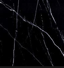 Dongpeng Black and White Root 801526