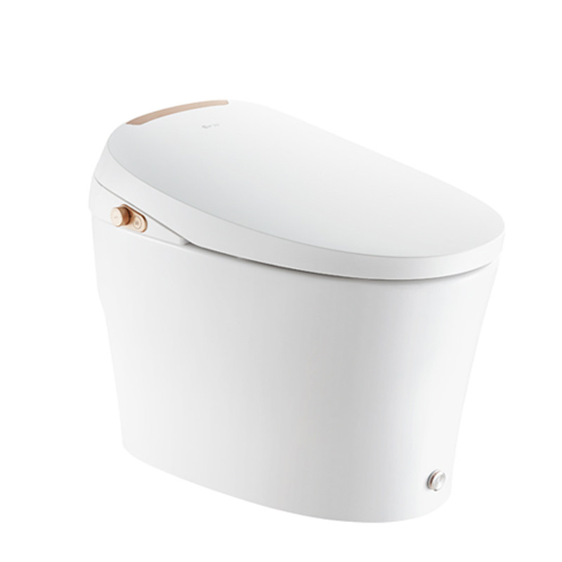 Dongpeng sanitary bathroom 2 series 8351 smart toilet button operation button kick flush