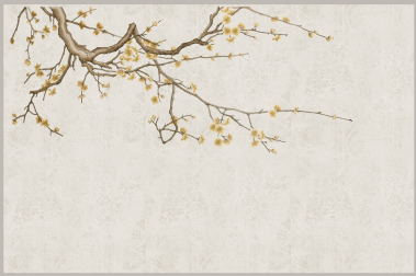 The plum scent of the Spring Lantern Festival