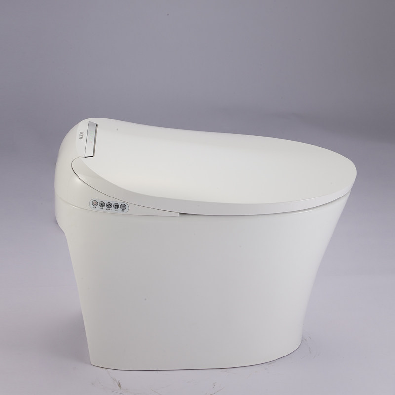 HDE 3002 home for HDE 3002 is home to Huida Intelligent Toilet Automatic Toilet
