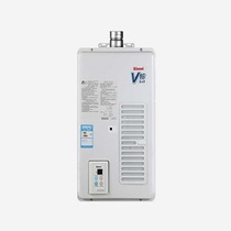 Chauffe-eau à gaz V1016WF importé à lorigine
