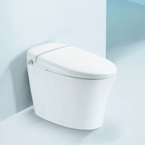 Langwhale Bathroom SSWW smart toilet ICO553 all-in-one smart toilet with remote control and no water tank upgrade