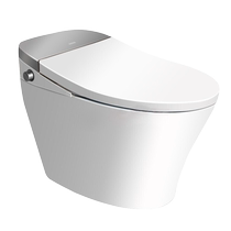 Moen Lapland series smart all-in-one computer 305 pit distance SW1121 Easyhome