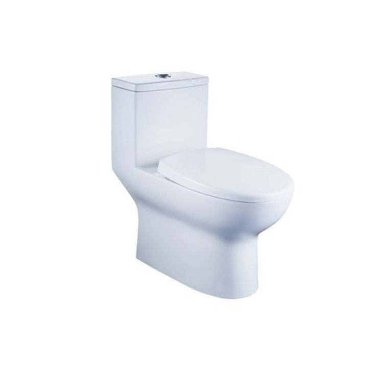 Xi'an actually nine-pastoral bathroom water-saving with water closet 11252