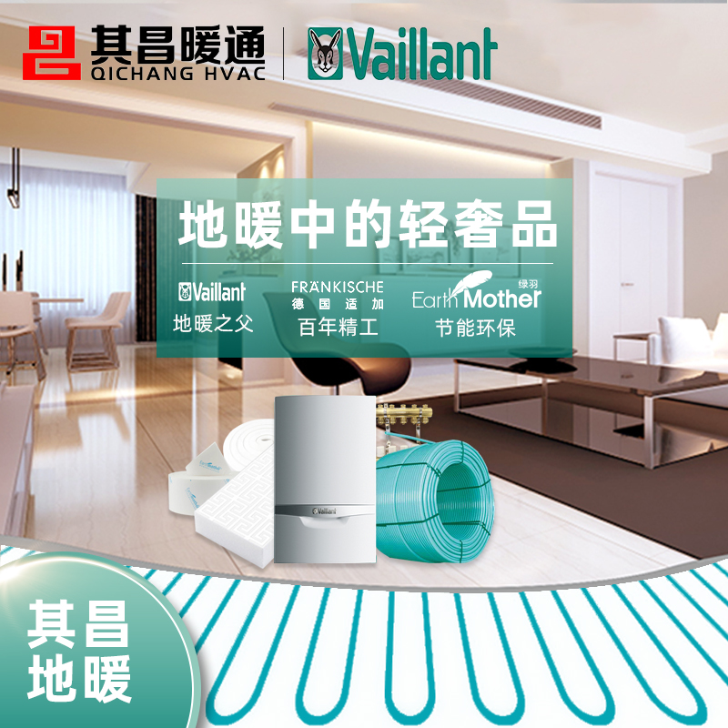 Germany Vaillant wall hanging furnace water floor heating green feather original imported floor heating radiator gas boiler