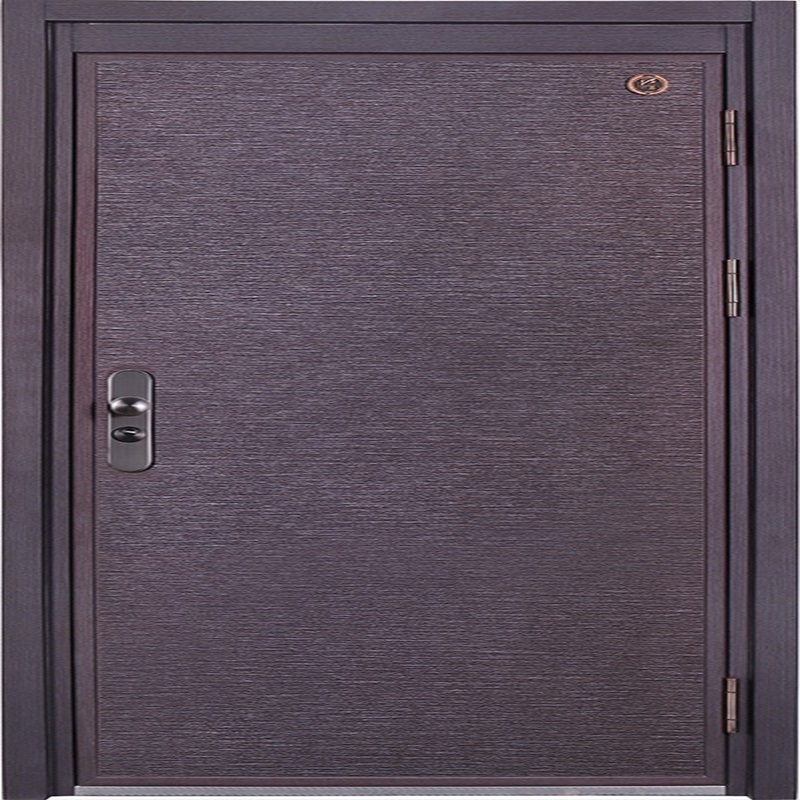 Denot steel door C025 Home Custom door to the door Home Security door