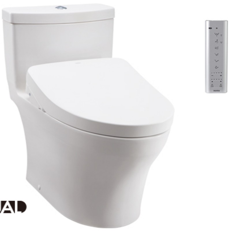 Intelligent combination toilet