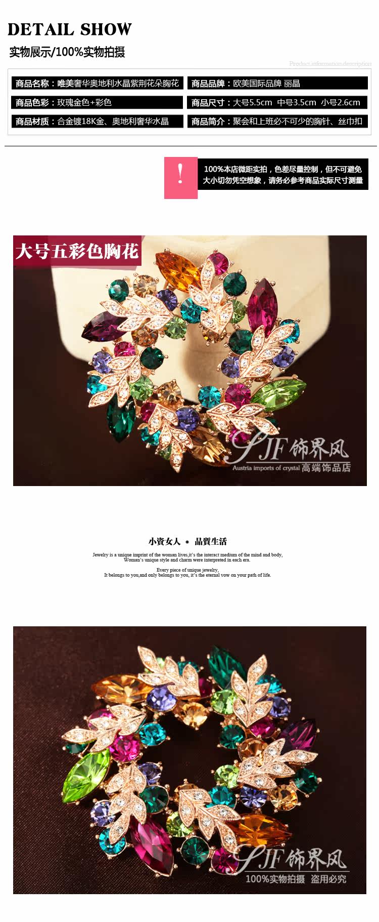 Broche femme en cristal autrichien - Ref 1176176 Image 20