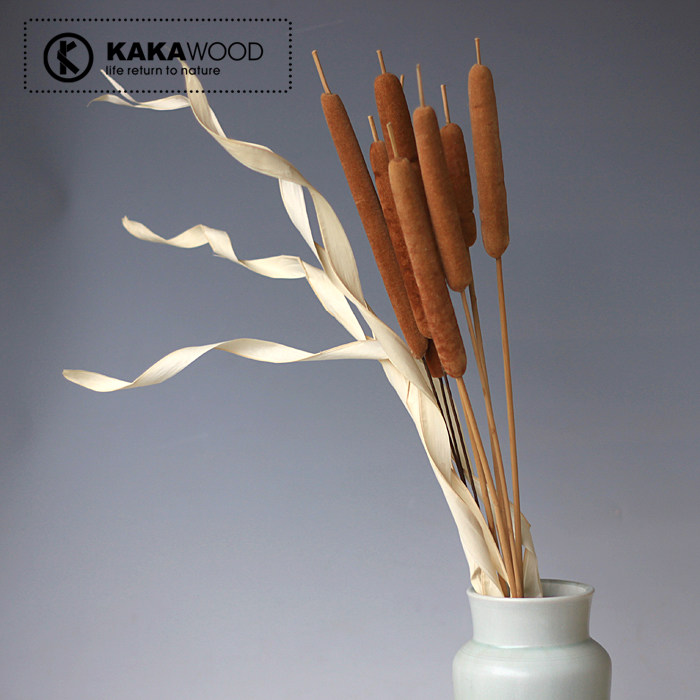 kkw�Ҿ�װ��ԭ��̬��Ȼ���Ǹɻ�