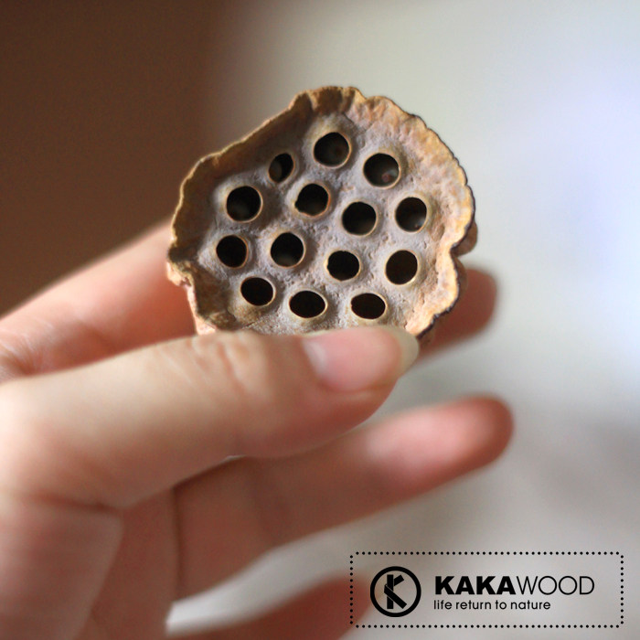 �ؾ�װ������ԭ��̬��Ȼֲ��ɻ�