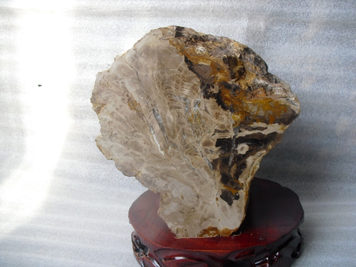 Liao Xi Chaoyang Natural Wonder Stone Sightseeing Petrochemical Stone Tree Fossilized Jade Tree Fossil Silicalized Wood Boutique Anchoite 3276