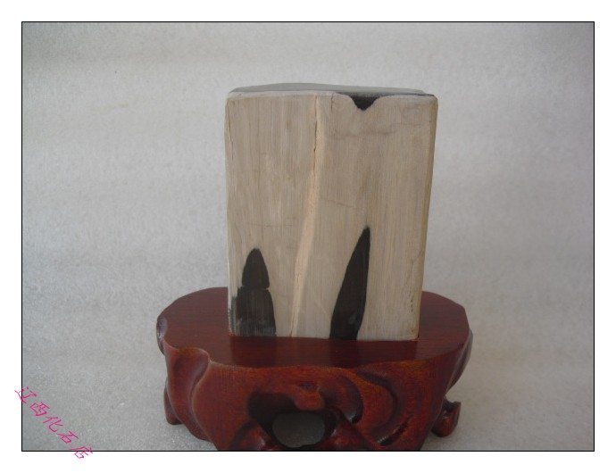 Beipiao natural strange stone ornamental petrified petrified tree petrified jade tree petrified petrified wood rare black and white flower pattern stone 3258