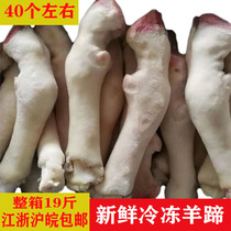 Fresh frozen mutton trotters whole box 19 catties of mutton raw mutton trotters about 40 restaurant ingredients Save more