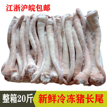 Fresh frozen pig long tail pig tail whole box 20 catties clean and hairless braised vegetable barbecue Jiangsu Zhejiang Shanghai and Anhui