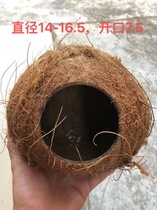 (diameter 14-16) Coconut Shell Cockatoo Hamster Hamster Squirrel Spotting (100 haircut) Lower Order to Pay