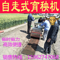 Stainless steel rice self-propelled seedling machine Seeder swing plate machine Seedling soil transplanter plate automatic integrated machine