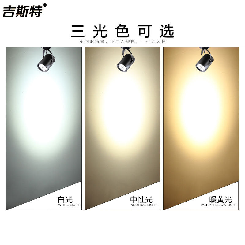 ��˹�ع�����