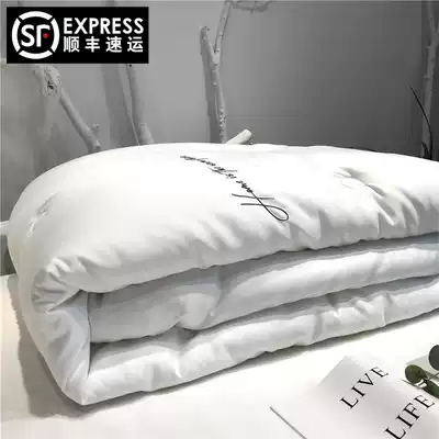 High-end cloud velvet quilt five-star Hotel warm velvet core autumn and winter thickened warm quilt core soft double quilt core