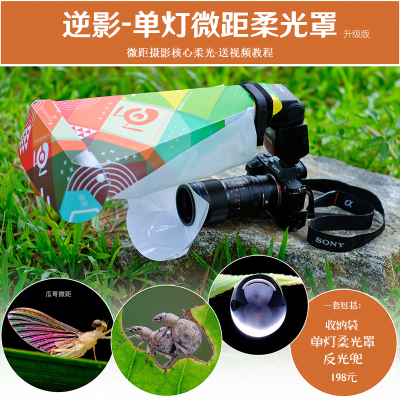 Old frogs micro-distance single light soft light cover retrograde soft light old frogs mirror head chip plant insect details flash light soft