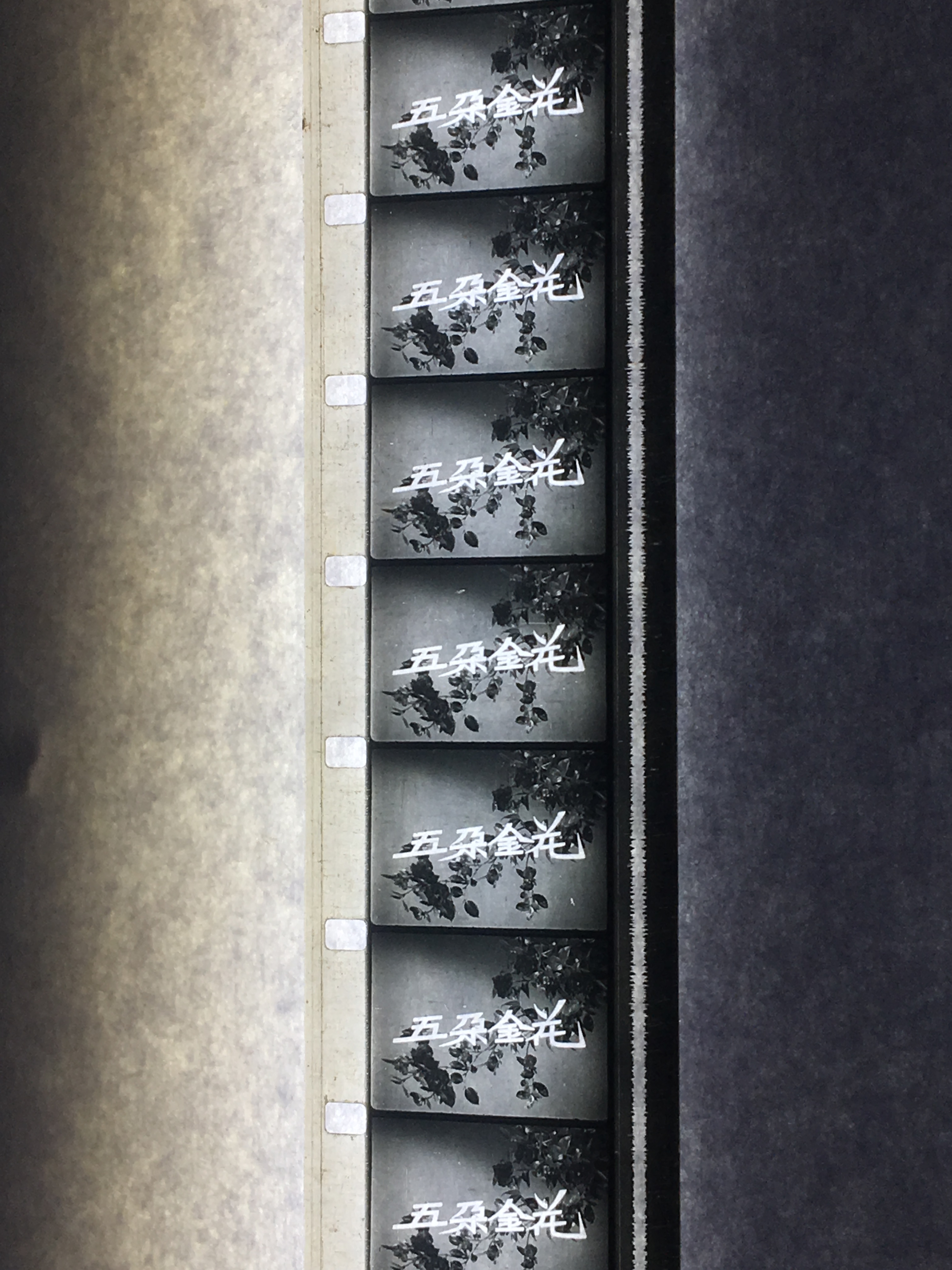 16mm mm classic black and white