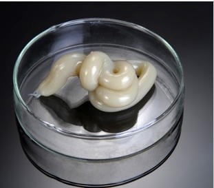 Ultra-low-temperature bearing grease refrigerator freezer freezer mechanical equipment special lubricating cream -70 degrees 130g