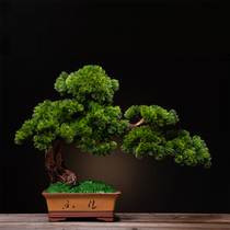 New Chinese simulation green plant bonsai welcome pine Zen ornaments large potted living room entrance hotel landscaping decorations
