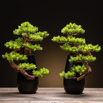 Welcome pine bonsai simulation green plant ornaments plant potted living room new Chinese porch Zen space home decoration