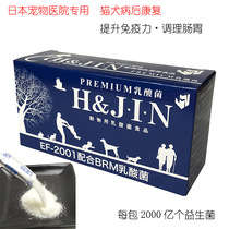 Japanese imported HJIN EF-2001 cats and dogs regulate intestines and stomach with lactic acid bacteria pet probiotics