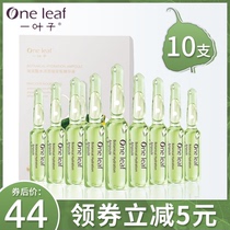 One leaf hyaluronic acid extract Essence Small ampoule Moisturizing brightening skin tone Facial moisturizing essence water Female